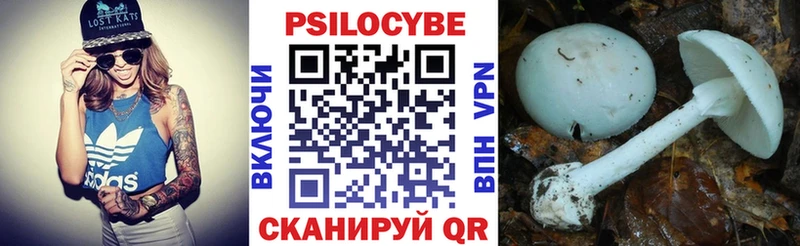 Купить закладки  Катайск  Псилоцибиновые грибы ЛСД 